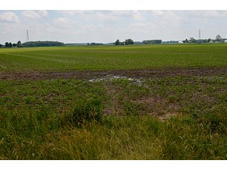 Property photo 18 - LAND AUCTION - 700+/- ACRES OFFERED IN 16 TRACTS IN ALLEN COUNTY, INDIANA